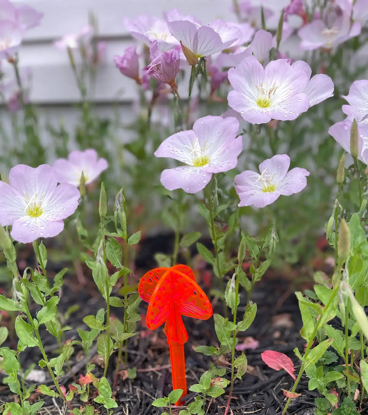 🌻 Bring Your Garden to Life with Garden Friends from BCWV Designs! 🐞